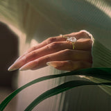 Luxsy Sahara Ring - 925 Silver - Luxsy Jewels